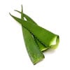 Aloe Vera Leaf Juice Powder