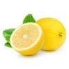 Lemon Myrtle Oil