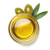 Olive Leaf Extract (Olea Europaea)