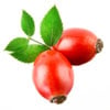 Rose Fruit Extract (Rosa Canina)