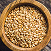 Sesame Seed Oil