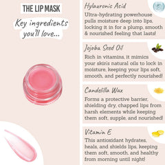 Radical Skincare Lip Recovery Mask key ingredients